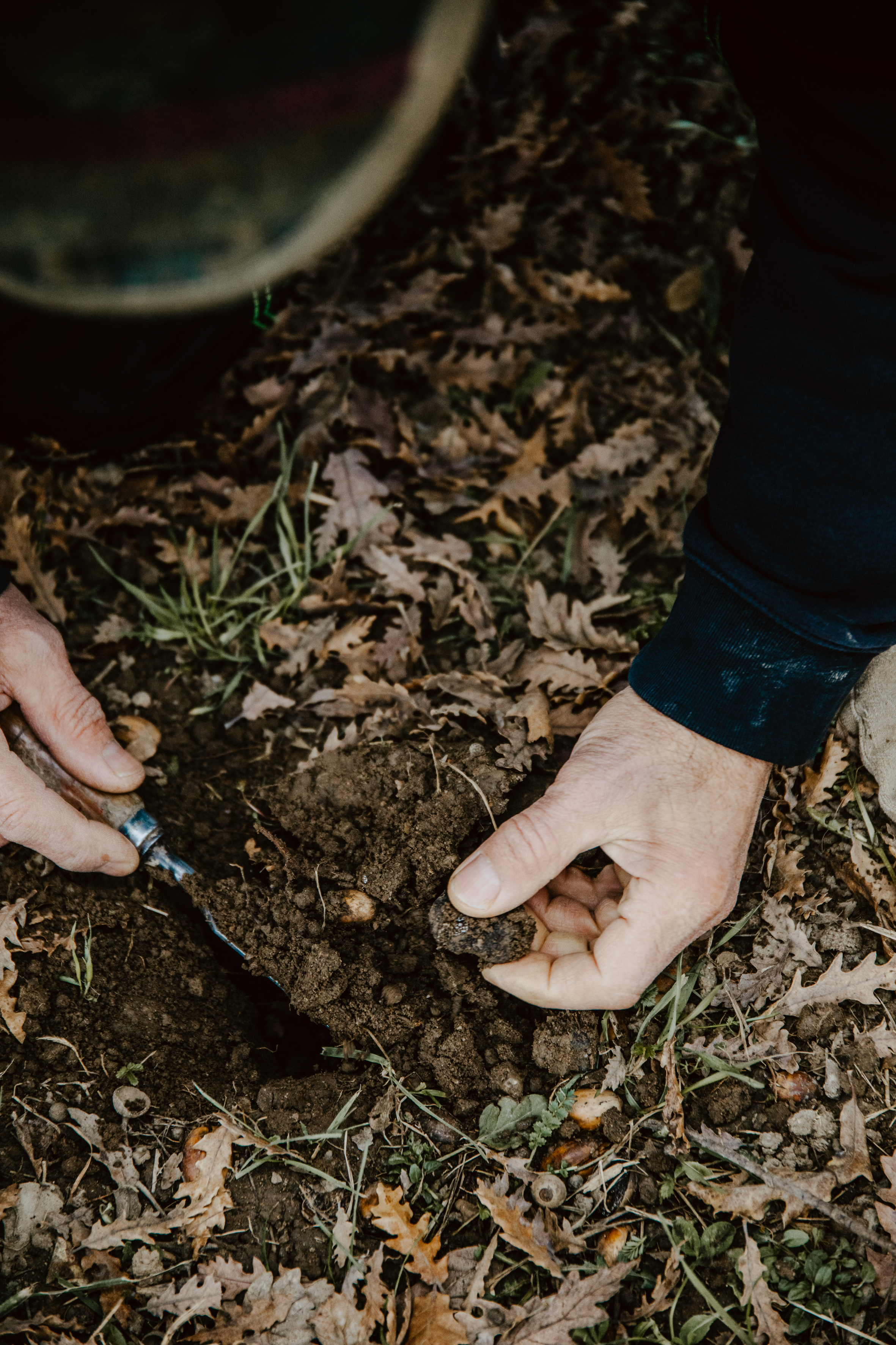 CharlèneBoiriePhotographe-Cavage-3