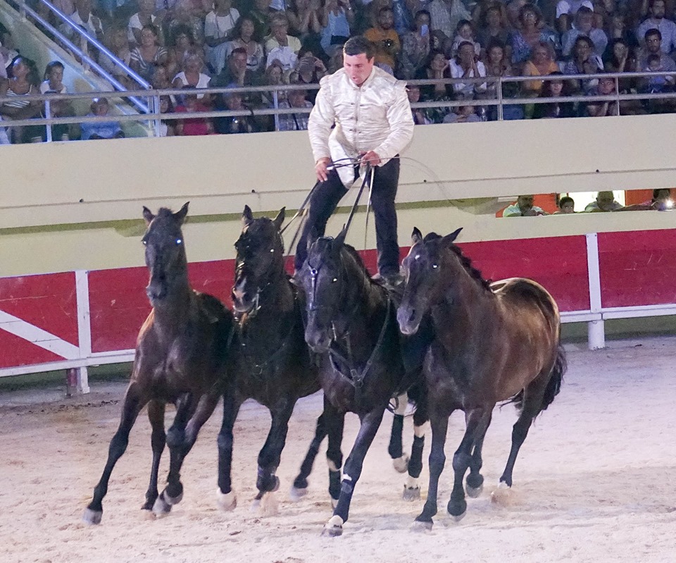 Feria Toros y Gipsys