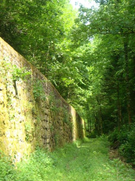 Chartreuse de Sélignac - Simandre sur Suran