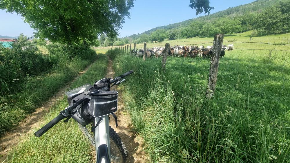 Circuit VTT n°7 (rouge) - Drom - Villeversure_Simandre-sur-Suran