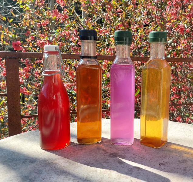 Sirop de plantes à déguster