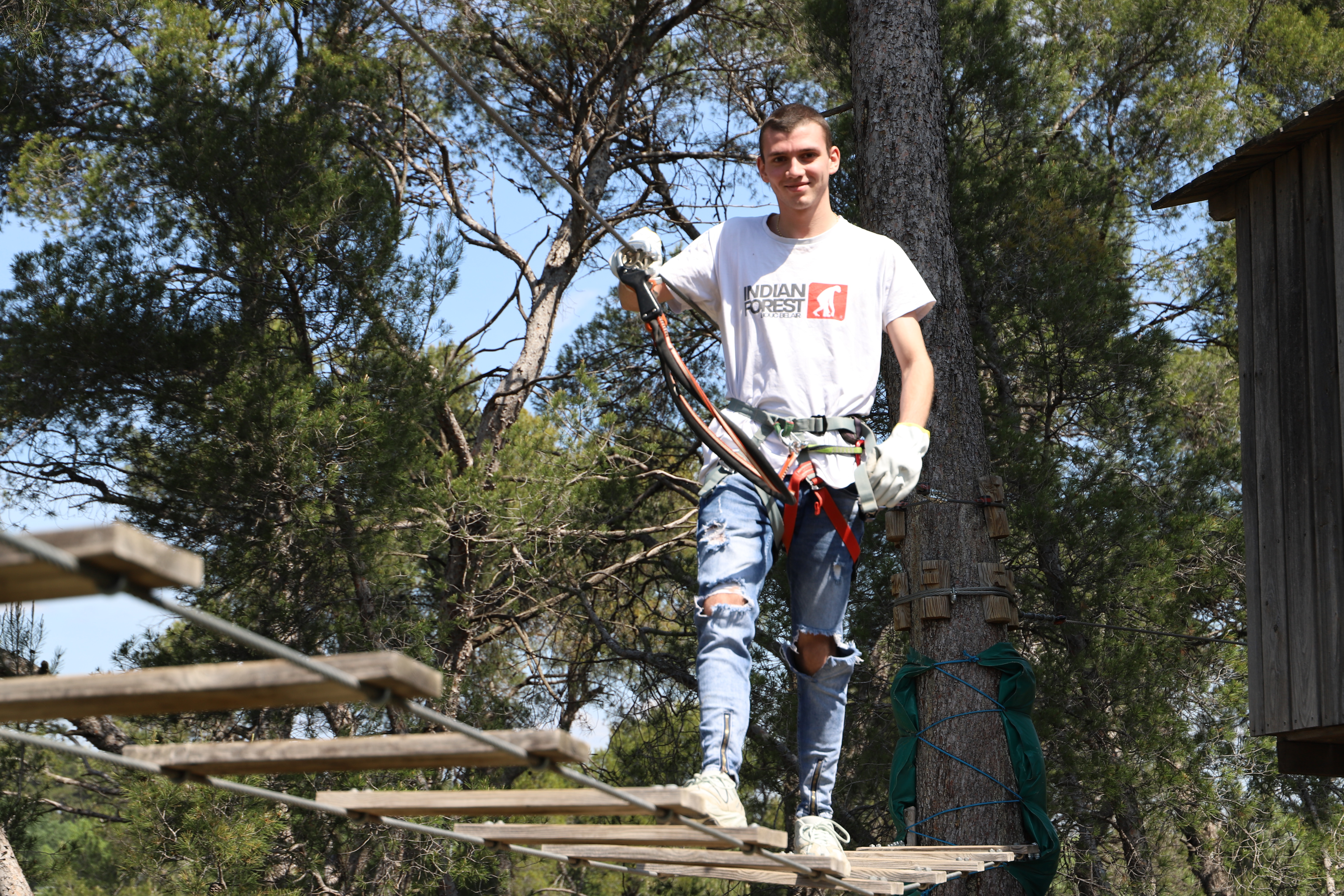 Indian Forest Bouc Bel Air