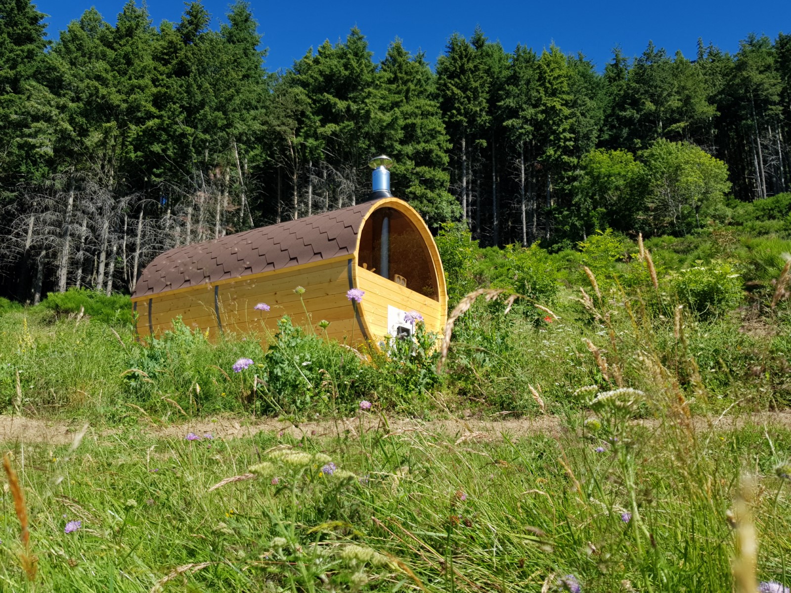 le sauna dans un pré