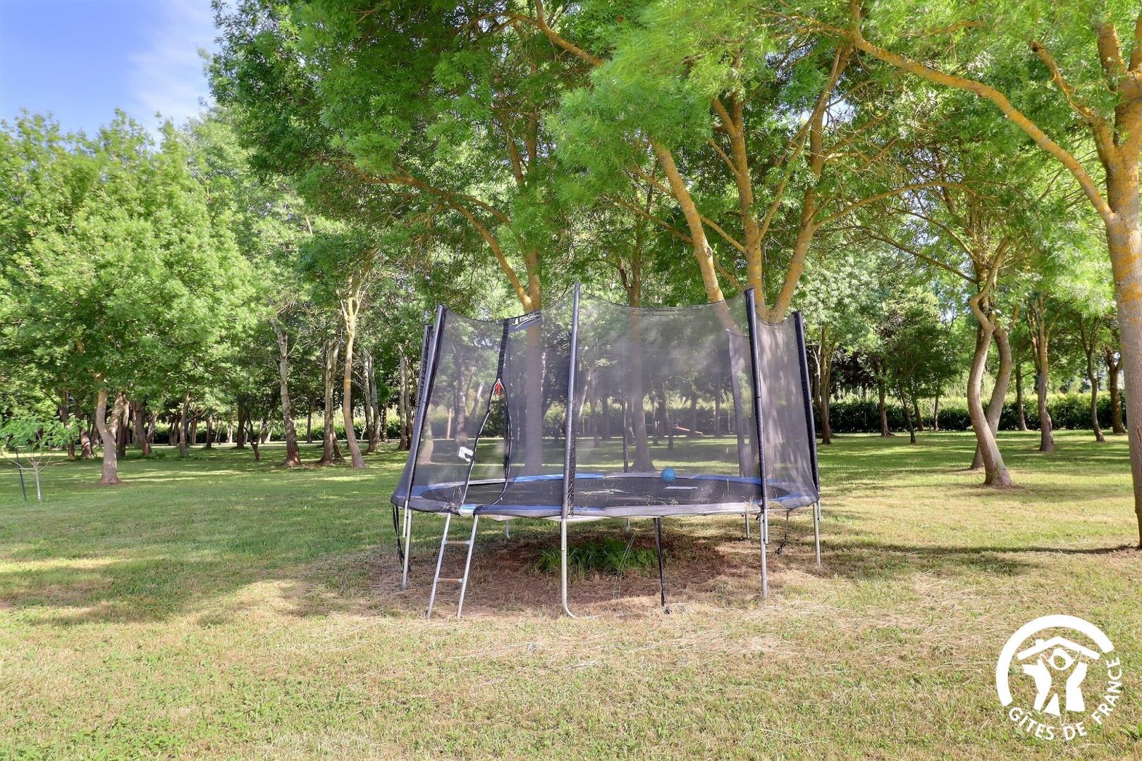 Domaine des Eucalyptus, Mollégès - photo 41