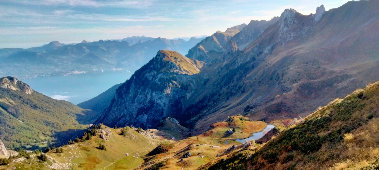 Photo échappée sauvage
