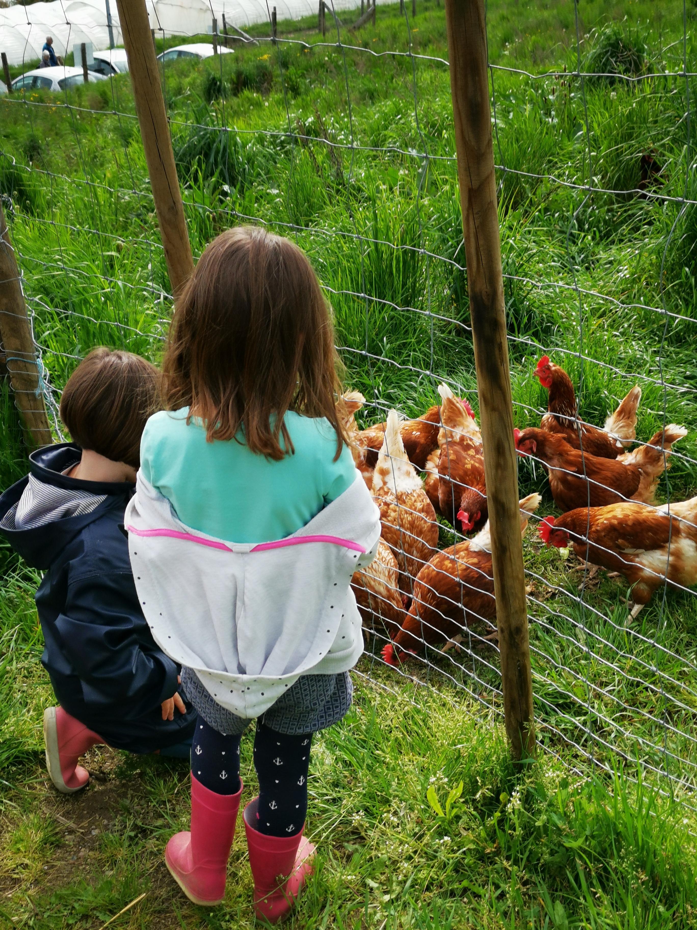 Découverte du Jardin D'avenir: du champ à l'assiette !_Saint-Martin-en-Haut