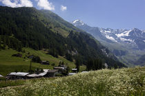 Vue été