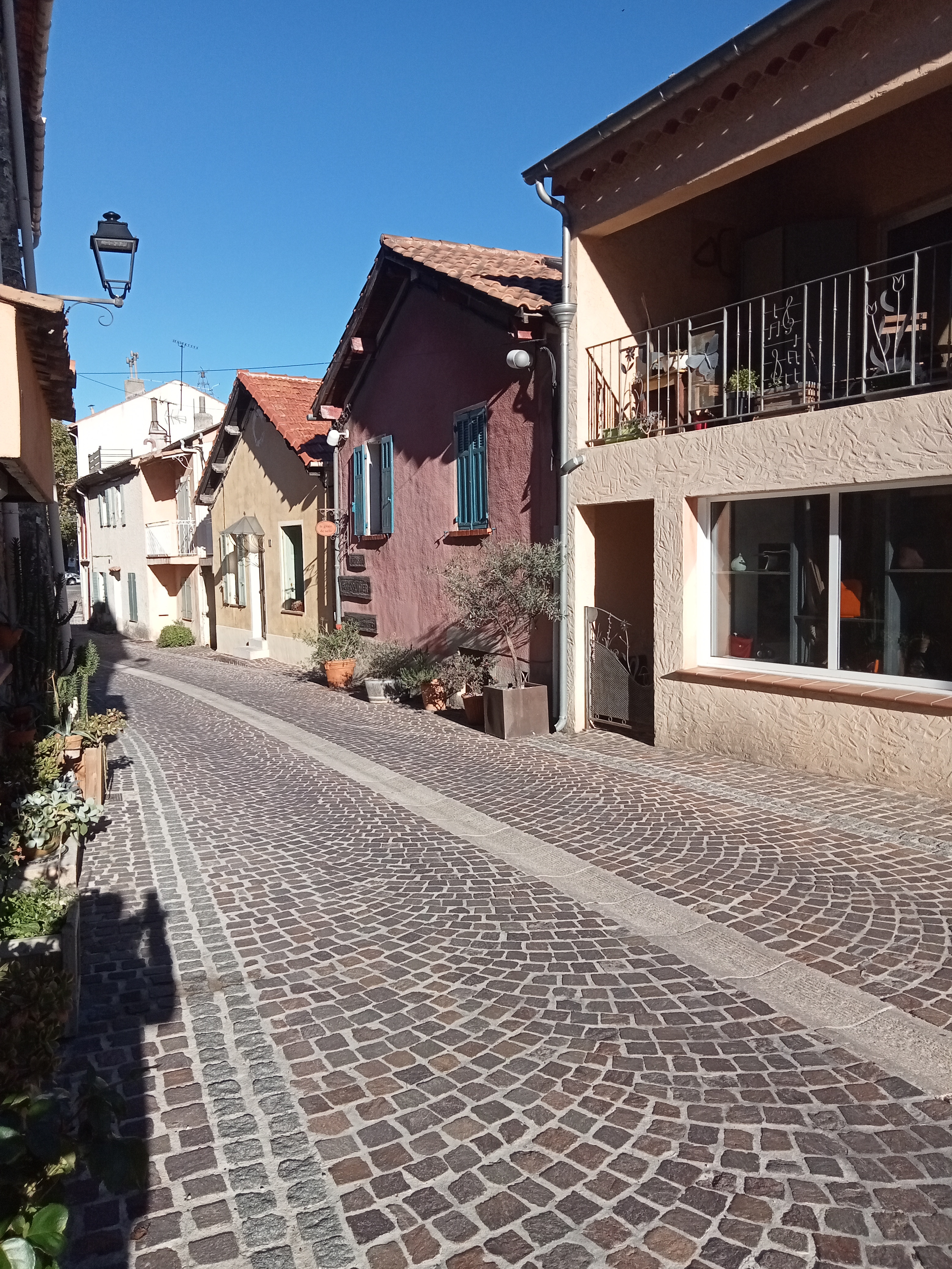 Le Grain de Selle - photo 3