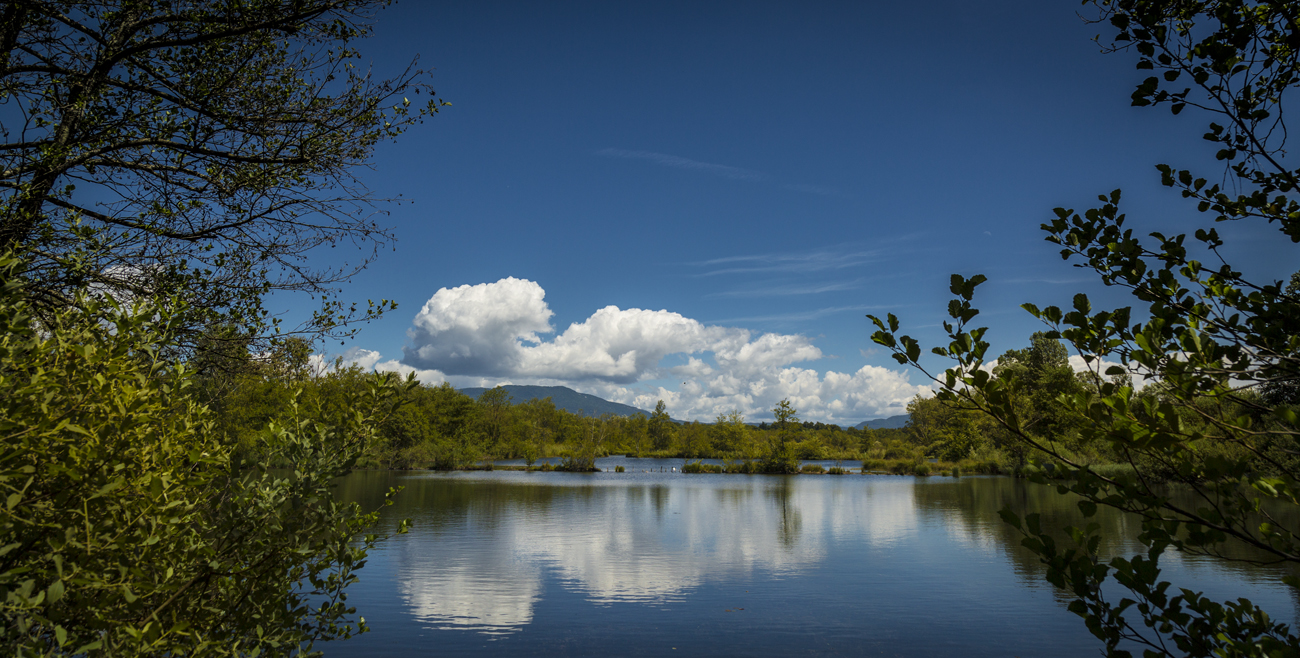 Espace Naturel Sensible de la Save - Secteur des étangs de Passins