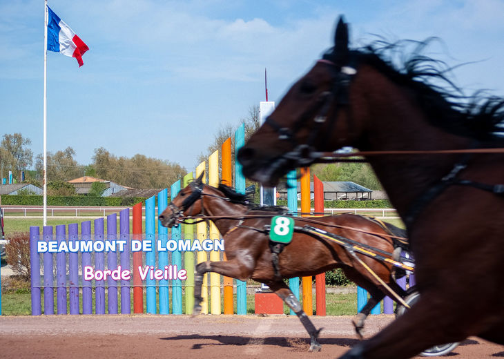 Courses hippiques - 12h