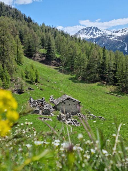 Circuit de randonnée : Nazonde_Sainte-Foy-Tarentaise
