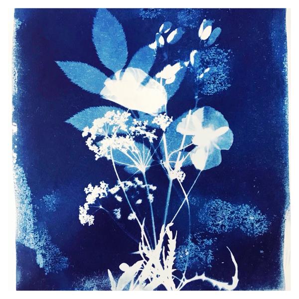 Atelier cyanotype