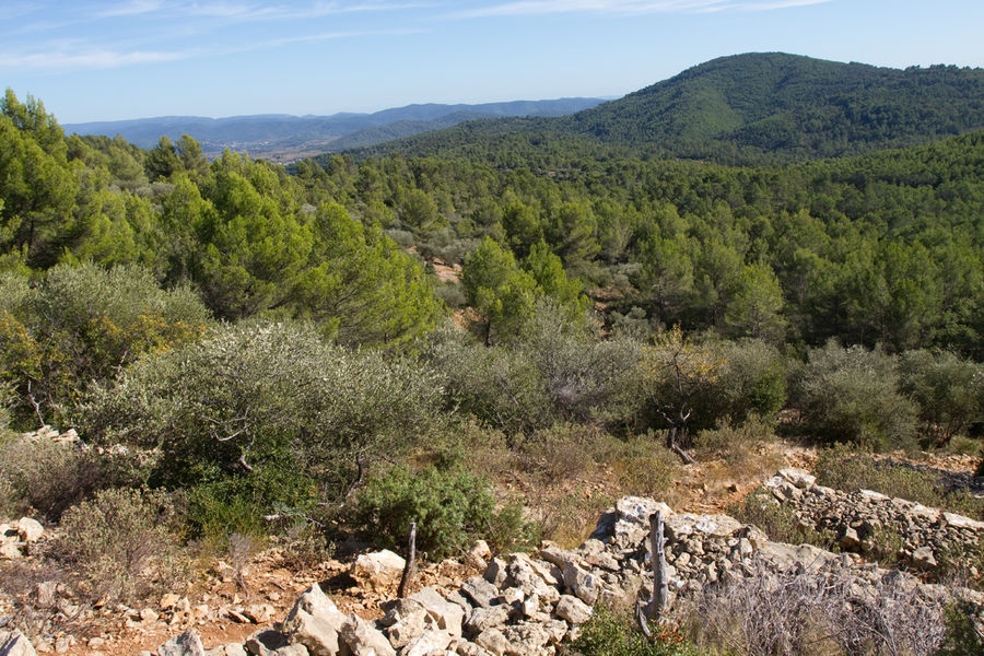 Balade des Apiès