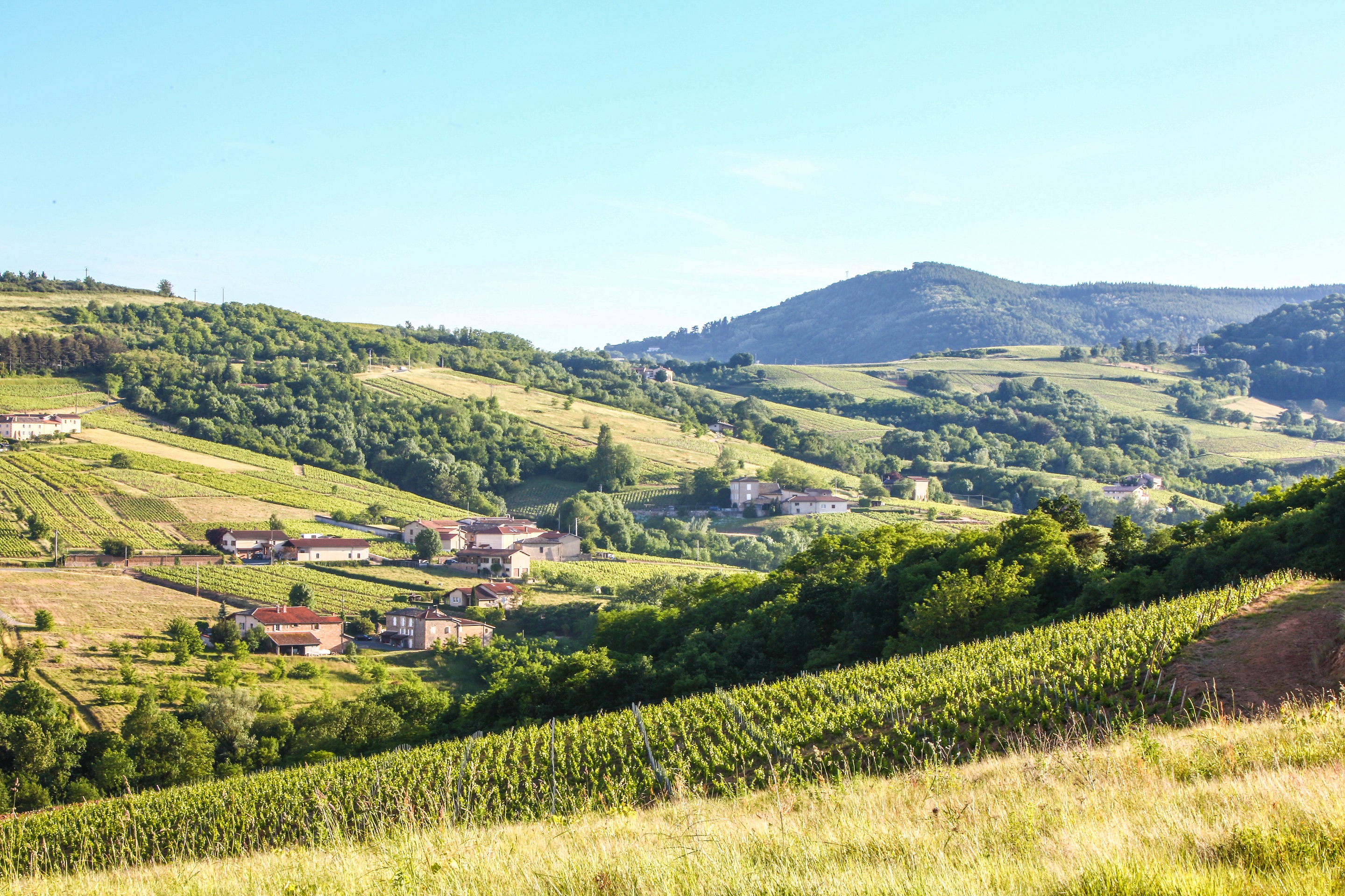 photosFeed-https://static.apidae-tourisme.com/filestore/objets-touristiques/images/161/93/22437281.jpg