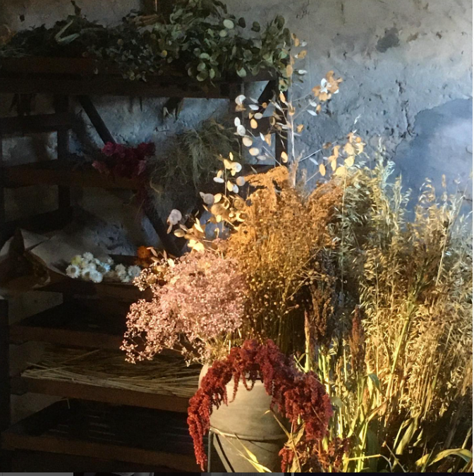 Fleurs su00e9chu00e9es
