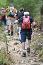 Marche pour la recherche des maladies psychiques_Saint-Étienne