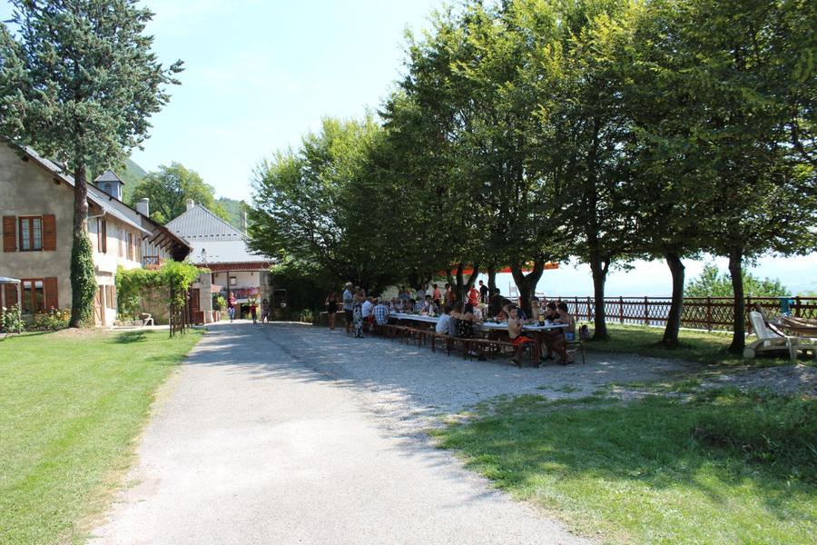 picnic sous les charmilles