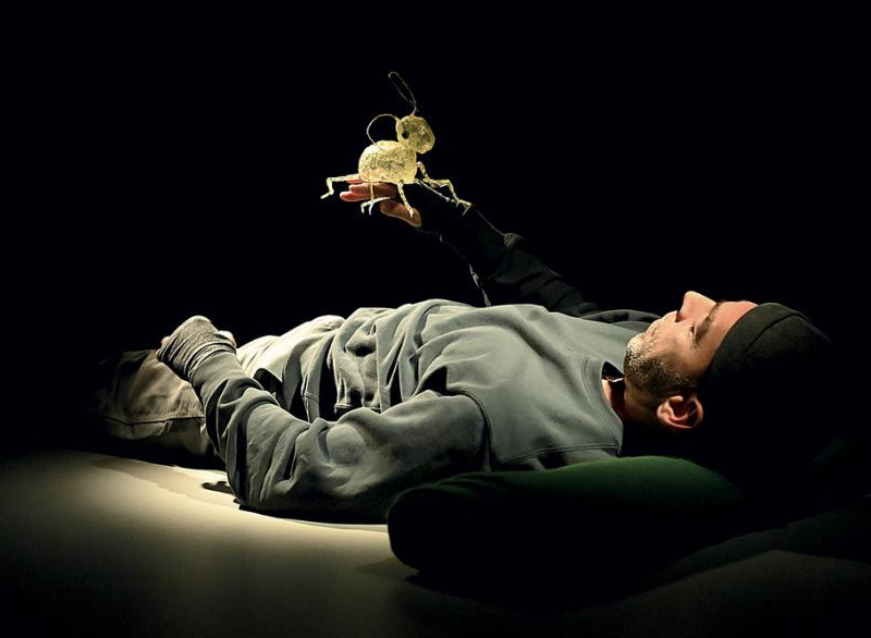 Spectacle visuel et sonore 