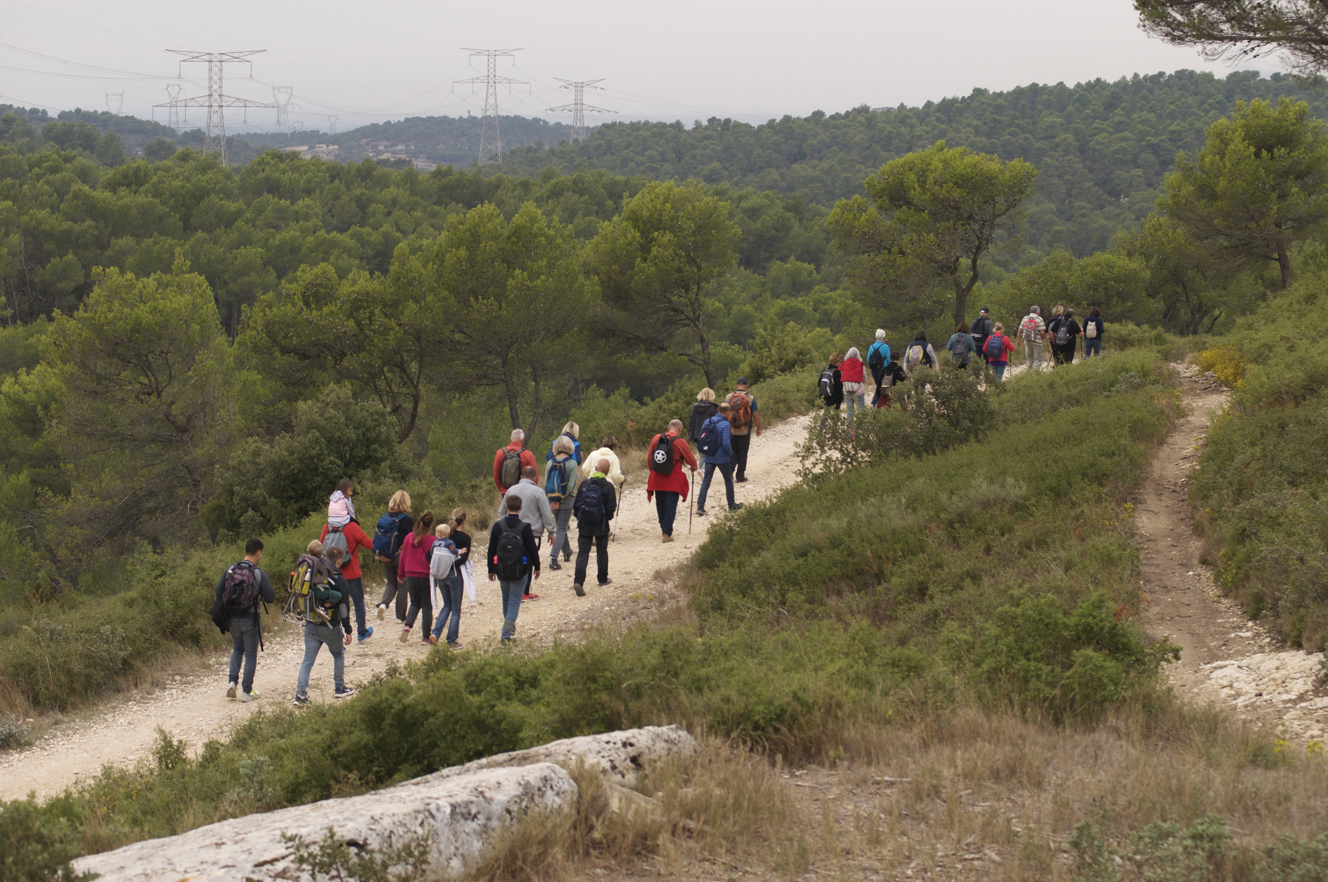 Plaine de Sonnailler (Aurons), Aurons - photo 2