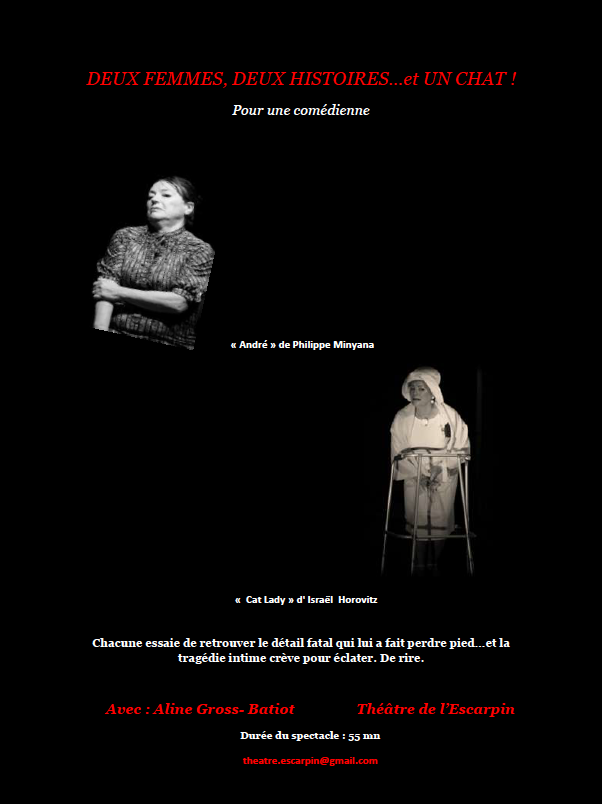 Théâtre : Deux femmes, deux histoires... et un chat