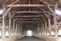 5-la_halle_copie.jpg