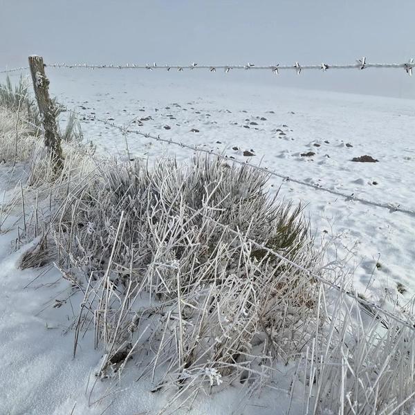 Le pré bleu de Marnand grand cottage