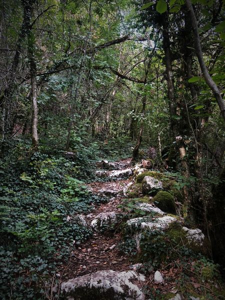 Circuit des cascades de la Magnine à Culoz