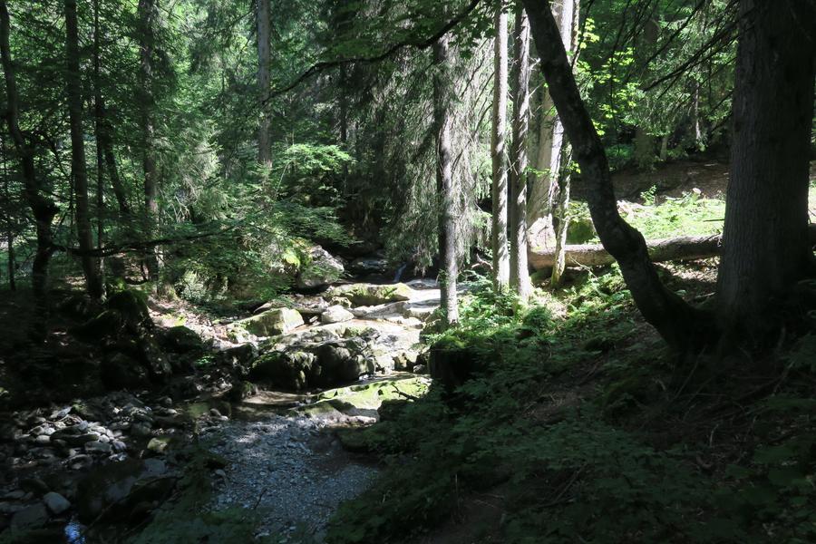 Sentier pédestre : Ardent aux Lindarets_Montriond