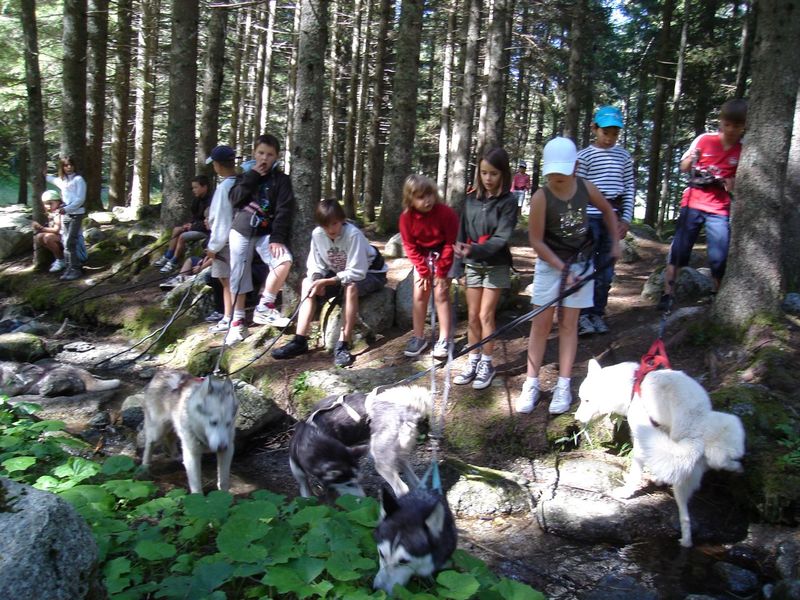 Cie des Guides JUNIORS - Programmes été Kids 8/12ans