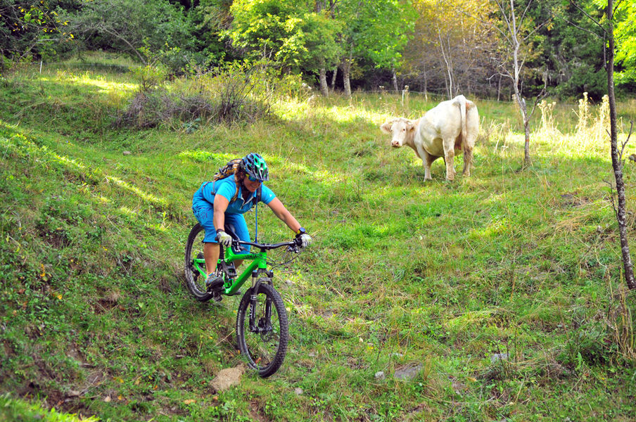 Les cheminées d'Equilibre de Vaujany