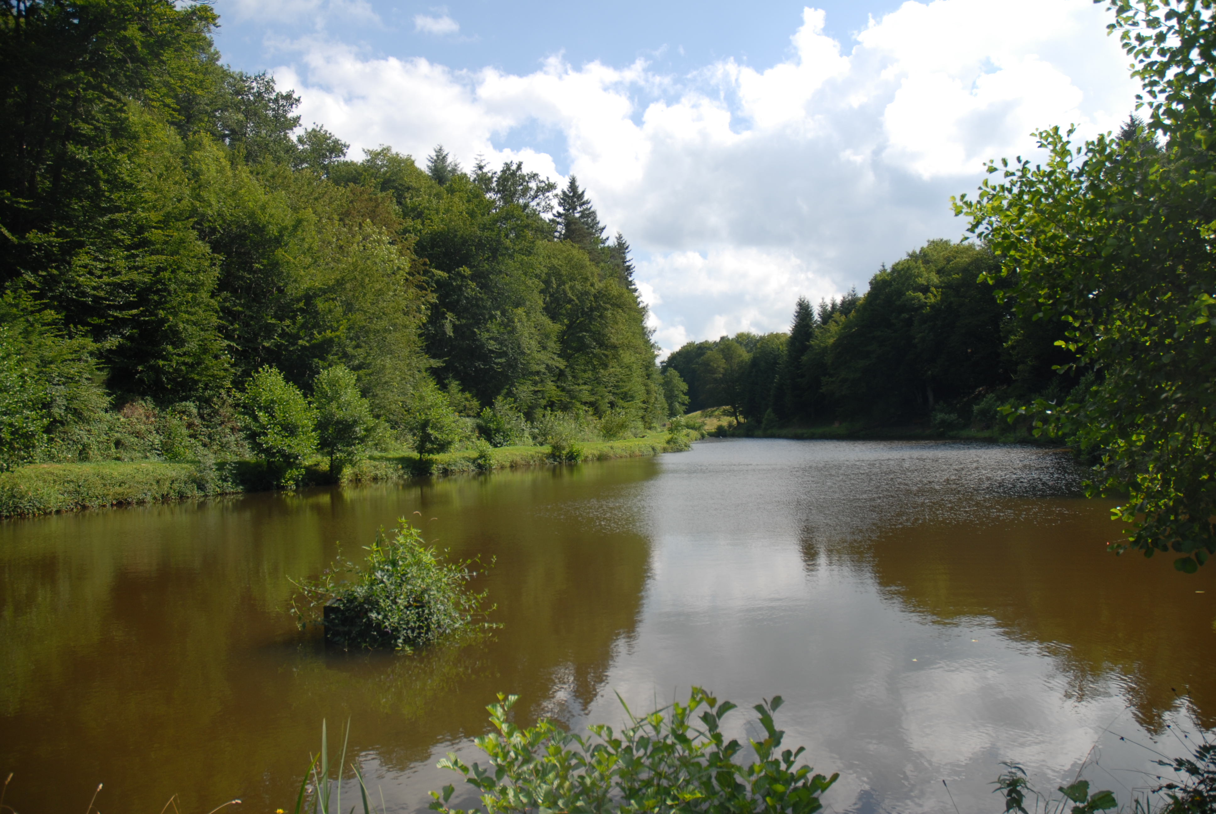 Plan d'eau 