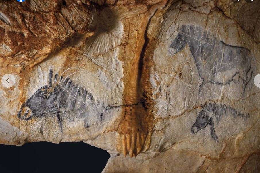 Cosquer Méditerranée, Marseille 2e Arrondissement - photo 2