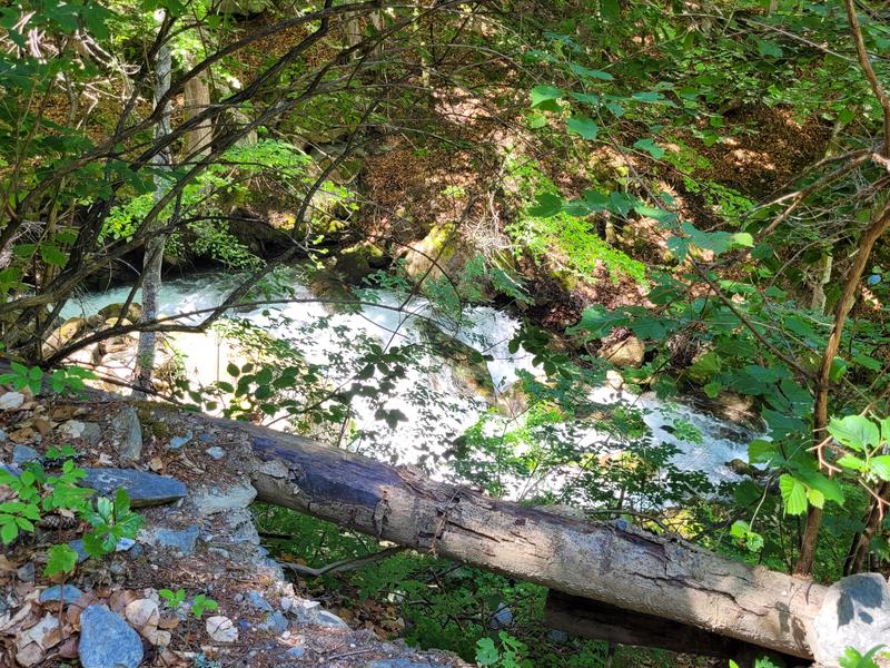 Le long de la rivière sur le chemin de la boucle Cul de l'Ane - Bozel