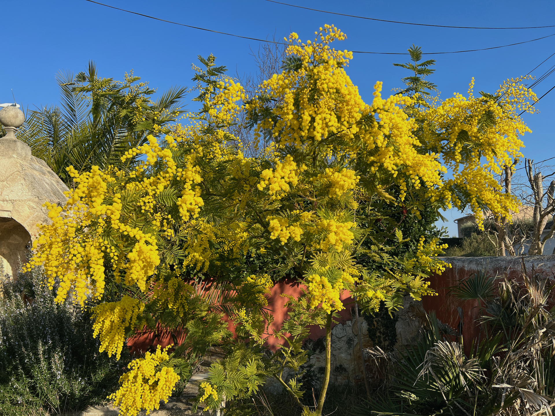 Le Clos de l'Isle - Beauduc - photo 4