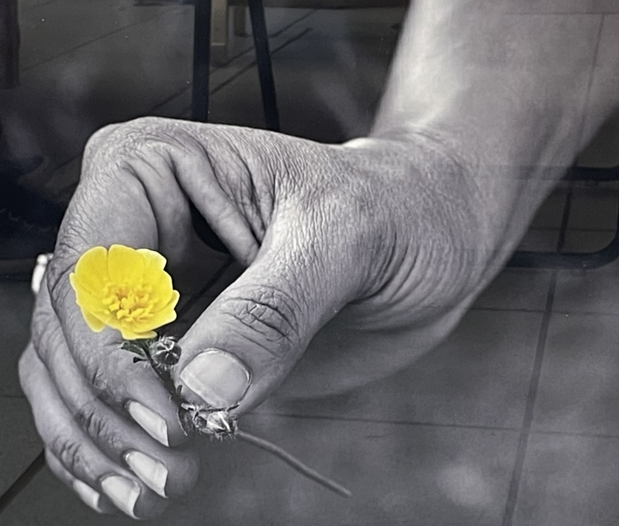 Mains et fleur