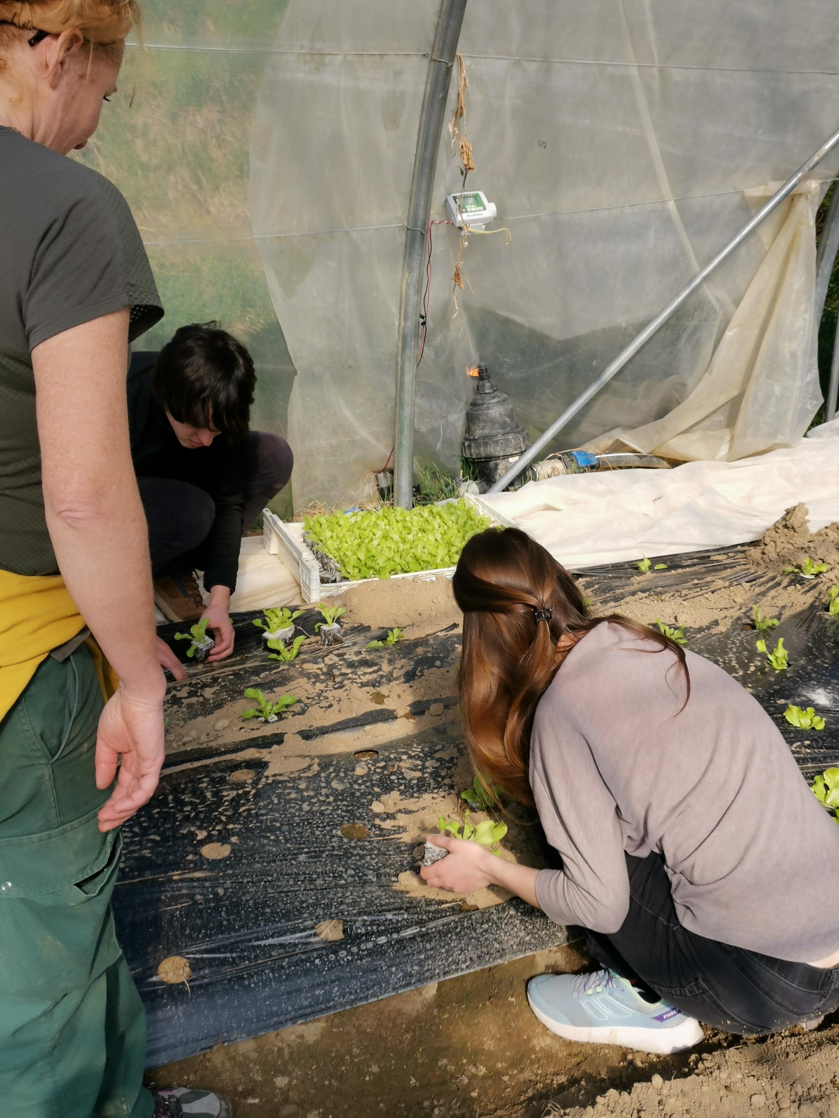 Découverte du Jardin D'avenir: du champ à l'assiette !_Saint-Martin-en-Haut