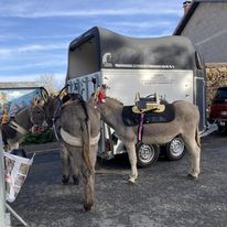 Iris, Homédy et Mirabelle prêt pour le marché de noël