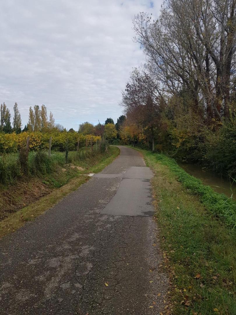 La Maison du Vallon - photo 4