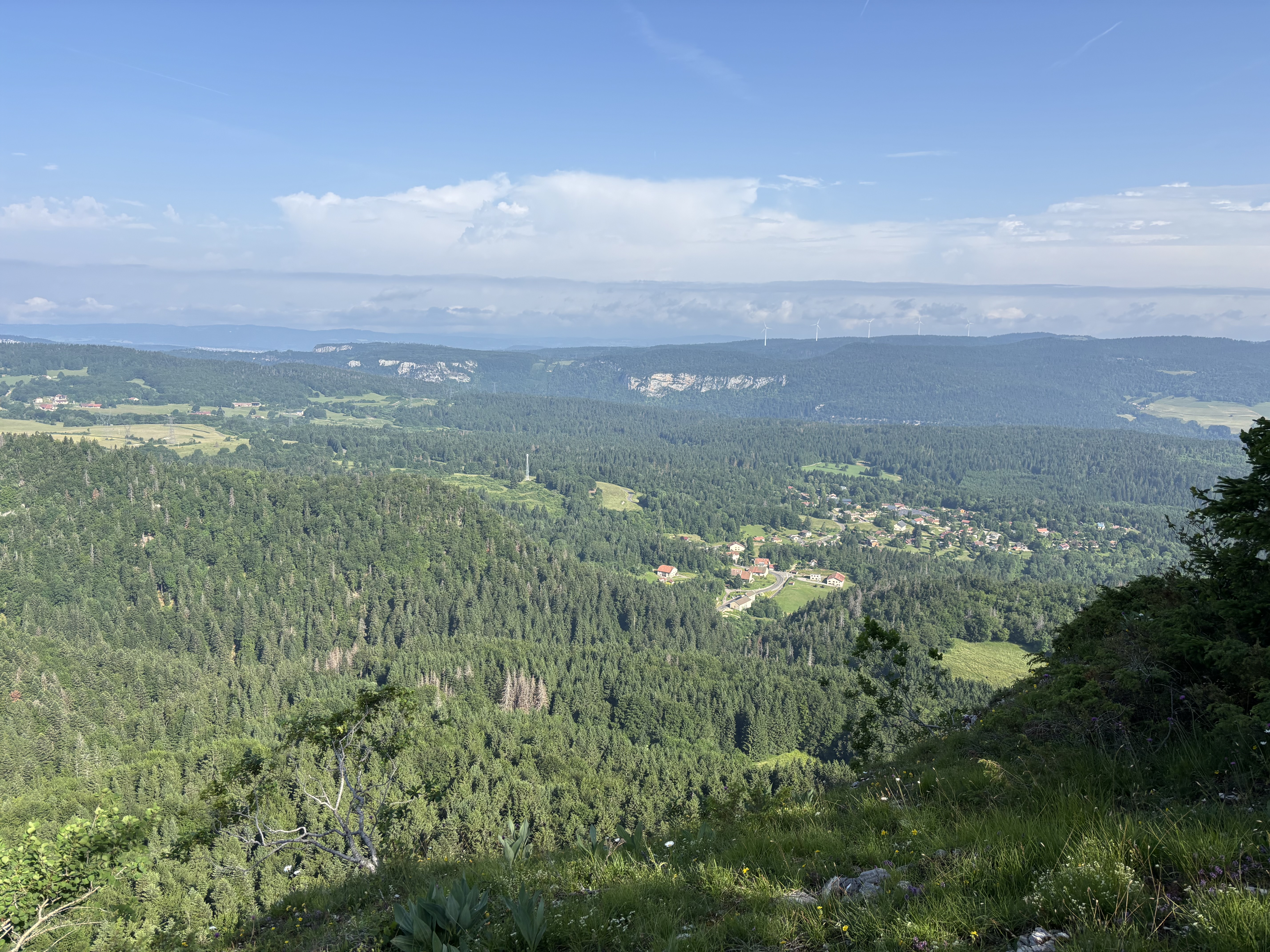 photosFeed-https://static.apidae-tourisme.com/filestore/objets-touristiques/images/162/232/41937058.jpeg