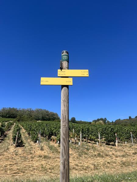 Domaine Bosse-Platière