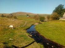 Ruisseau vers Boutaresse