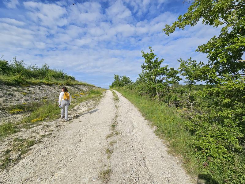 Randonnée - Les Causses du Quercy Blanc
