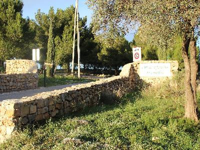 Forêt domaniale de Castillon - photo 3
