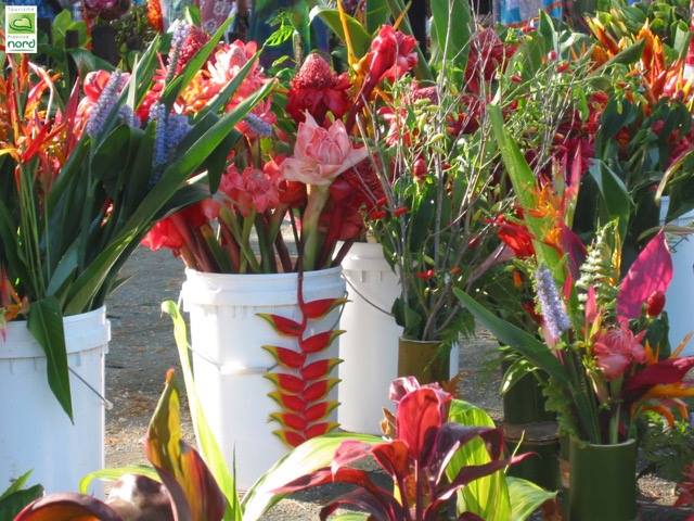 Salon de l'horticulture