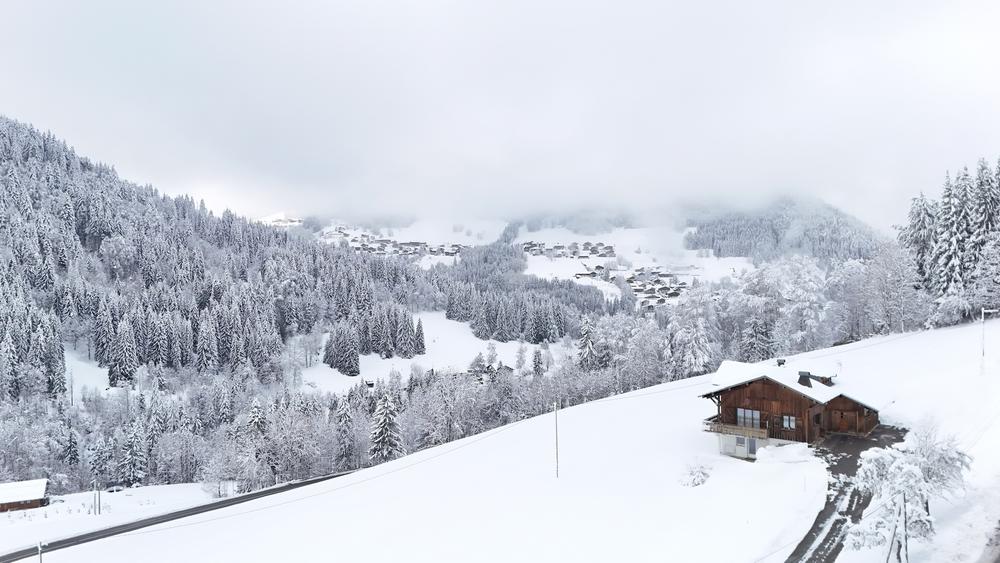 Chalet APY_Les Gets