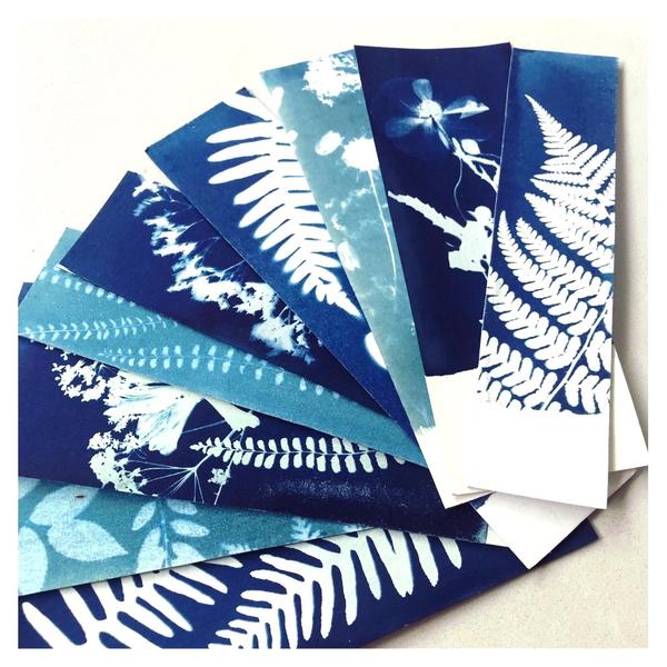 Atelier cyanotype