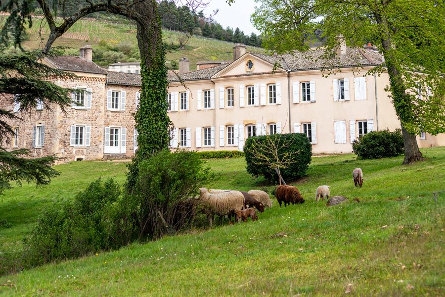 L’an 949 : Le Banquet des Moines_Fleurie