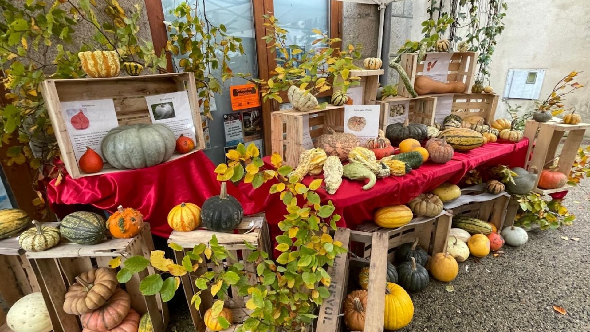 Fête de la courge - L'Automnal gourmand/Fête de la Science