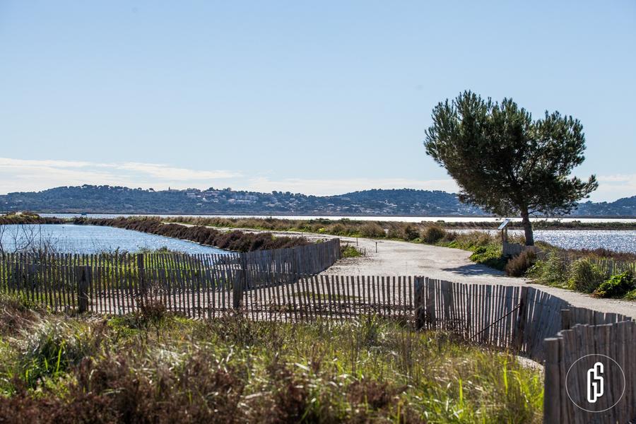 Exposition La saga des plantes libres_Hyères