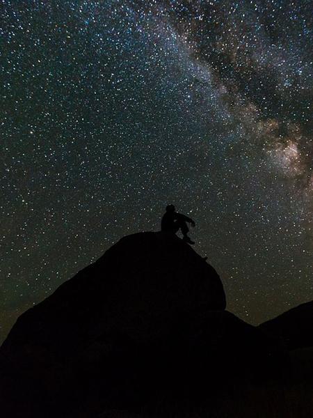 La nuit est belle, elle est sauvage